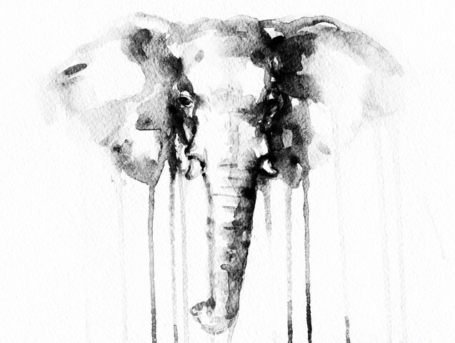Elephant - watercolor illustration
